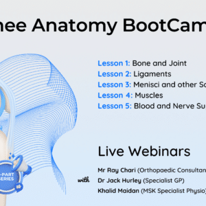 Knee Anatomy BootCamp LIVE