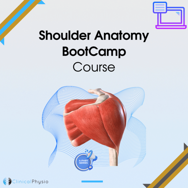 Shoulder Anatomy BootCamp Course