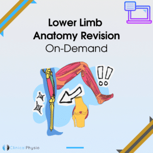 Lower Limb Anatomy Revision On-Demand Webinar