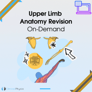 Upper Limb Anatomy Revision On-Demand Webinar