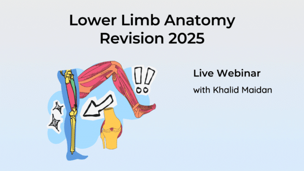 Lower Limb Anatomy LIVE Webinar