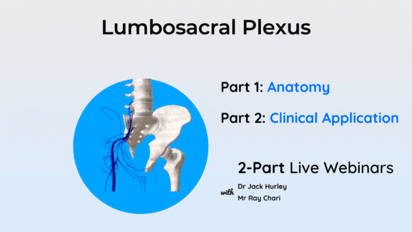 Lumbosacral Plexus: Anatomy & Clinical Application LIVE Webinar