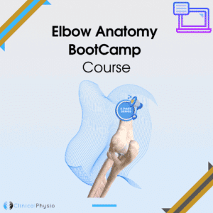 Elbow Anatomy BootCamp Course