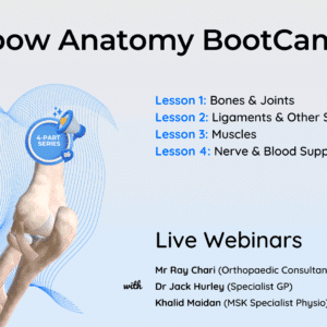 Elbow Anatomy BootCamp LIVE