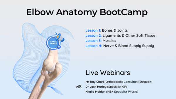 Elbow Anatomy BootCamp LIVE