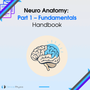 Neuro Anatomy: Part 1 – Fundamentals Handbook