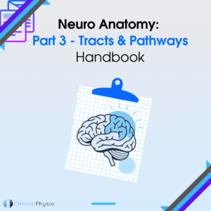 Neuro Anatomy: Part 3 - Tracts and Pathways Handbook