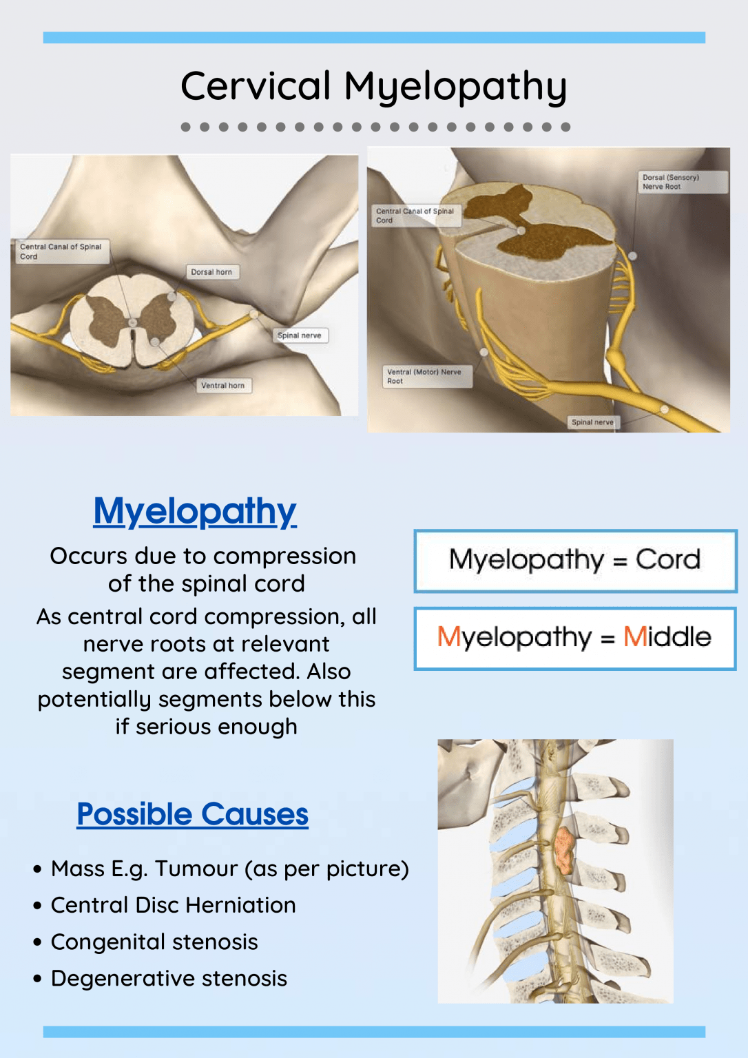 Cervical Spine Handout Clinical Physio
