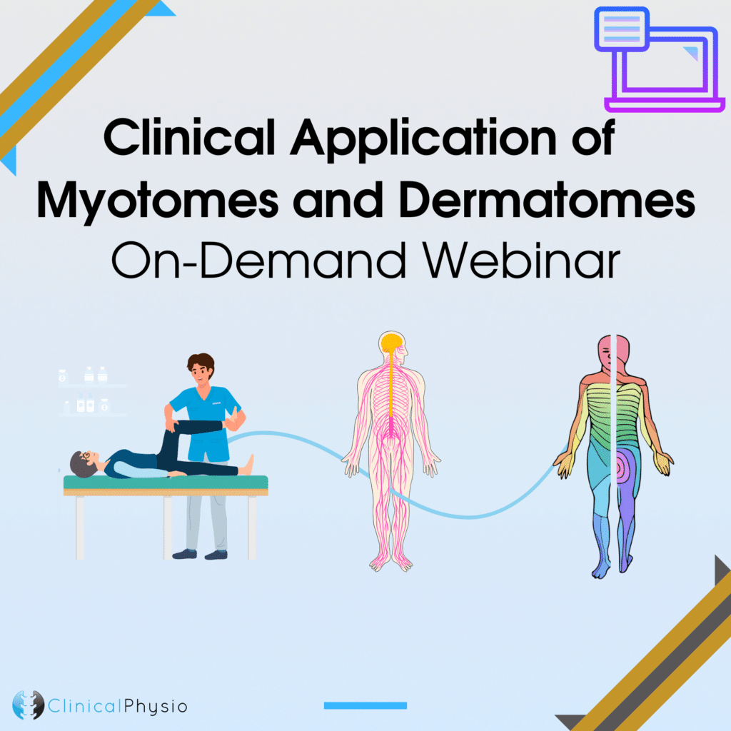 Clinical Application of Myotomes and Dermatomes On Biology Diagrams