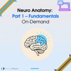 Neuro Anatomy: Part 1 – Fundamentals On-Demand Webinar