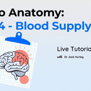 Neuro Anatomy: Part 4 – Blood Supply LIVE Tutorial