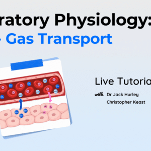 Respiratory Physiology: Part 3 - Gas Transport LIVE Tutorial