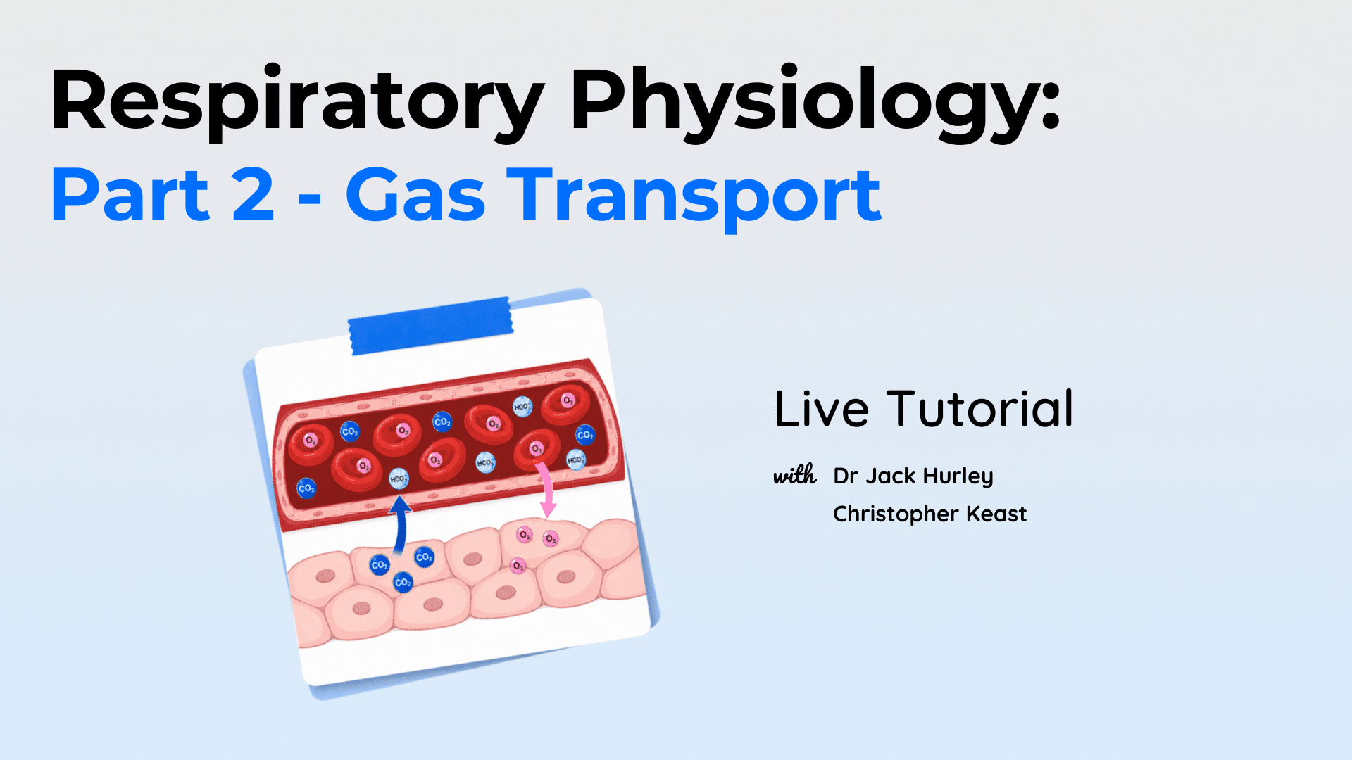 Respiratory Physiology: Part 3 - Gas Transport LIVE Tutorial