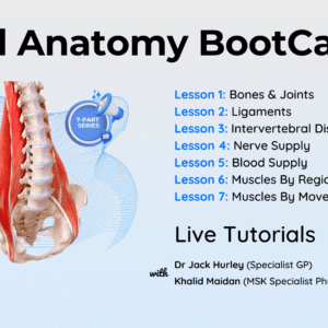 Spinal Anatomy BootCamp LIVE