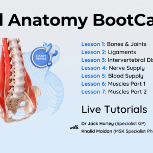 Spinal Anatomy BootCamp LIVE