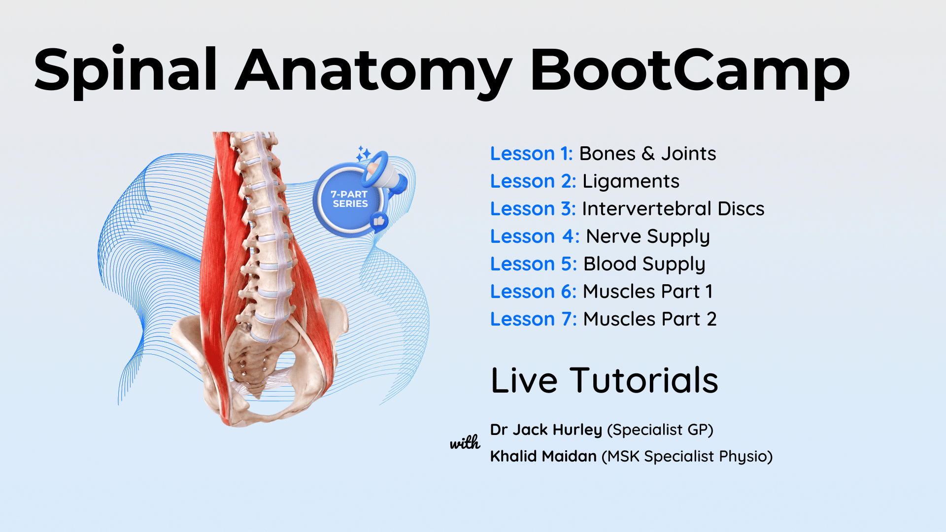 Spinal Anatomy BootCamp LIVE