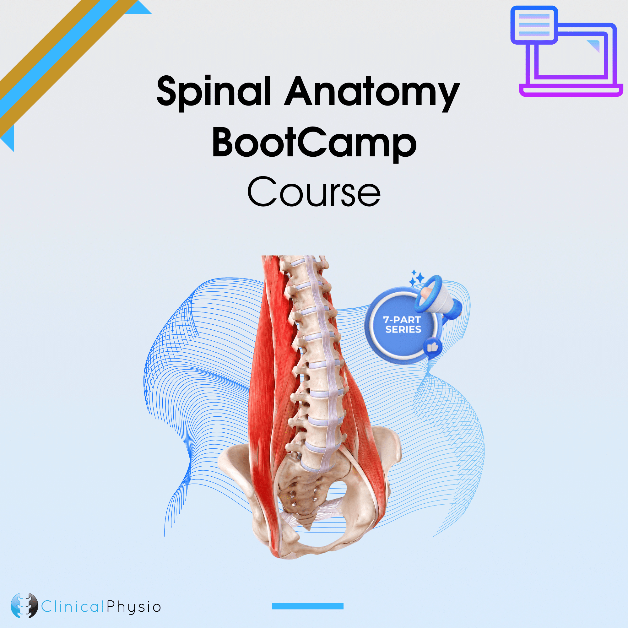 Spinal Anatomy BootCamp Course